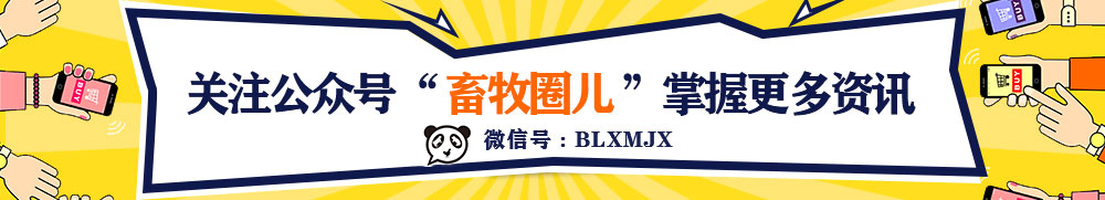 1597201559746618.jpg 引流.jpg